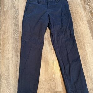 Banana Republic Dark Blue Chinos
